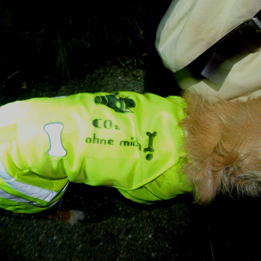22.September 2011 050.JPG